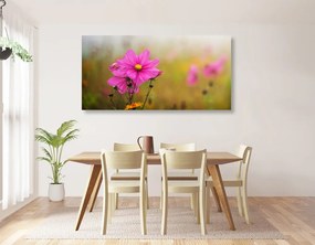 Εικόνα ανθισμένο ροζ λουλούδι - 120x60