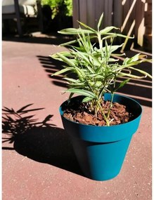 Βάζο Λουλουδιών Riviera Μπλε Ø 55 cm