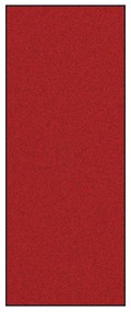 vidaXL Χαλάκι Εξώπορτας Κόκκινο και Μαύρο 120 x 300 cm