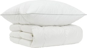 vidaXL Σετ πάπλωμα 90% χήνας FULDA 2 τμχ. 140 x 200 cm Χειμώνας Λευκό