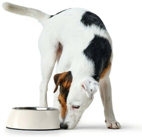 Ταΐστρα σκύλων Hunter μελαμίνη Ανοξείδωτο ατσάλι Λευκό 350 ml (18,5 x 18,5 x 9,5 cm)