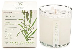 Αρωματικό Κερί Plant The Box Με Σπόρους Fresh Cut Grass 283gr Kobo Soy Wax