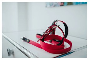 Λουρί Σκύλου Hunter CONVENIENCE 2 x 120 cm Ροζ