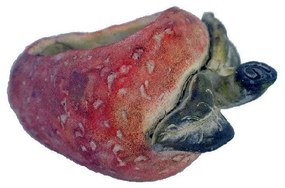 Κασπώ Φράουλα JOE210 20x14,5x12cm Red-Green Espiel Cement