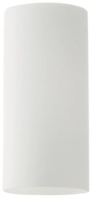 SE21-AC-W12 ADEPT WHITE GLASS B1