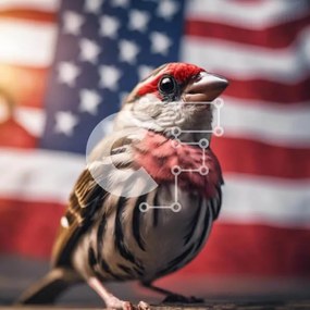 Intra Συλλεκτικό Ξύλινο Παζλ Plywood  4mm - Μικρό πουλί και αμερικανική σημαία Σε Ξύλινο Κουτί - Διαστάσεις: 10x10 cm – 25 κομμάτια