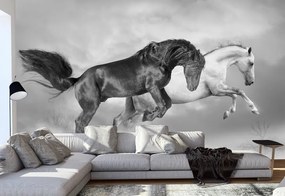 Ταπετσαρία τοίχου ετοίμων διαστάσεων με ασπρόμαυρα άλογα 01186 100cm x 150cm
