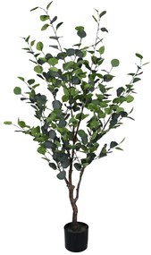 Διακοσμητικό φυτό Eucalyptus Ι σε γλάστρα Inart πράσινο pp Υ150εκ