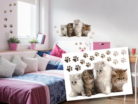 Διακοσμητικά αυτοκόλλητα τοίχου γατάκια - 50x70