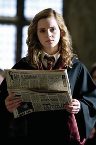 Εκτύπωση τέχνης Harry Potter - Hermione, (26.7 x 40 cm)