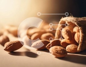 Σετ των 2 Intra Συλλεκτικό Ξύλινο Παζλ Plywood 4mm - Κοντινό πλάνο διάσπαρτα αμύγδαλα Σε Ξύλινο Κουτί - Διαστάσεις: 10x10 cm – 25 κομμάτια