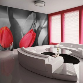 Φωτοταπετσαρία - Red tulips on black and white background 300x231