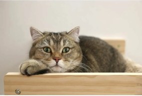 Κρεβάτι για Γάτες Kerbl TIMBER Μπεζ