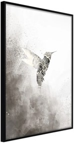 Αφίσα - Hummingbird in Shades of Grey - 20x30 - Μαύρο - Χωρίς πασπαρτού