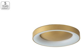 SE LED 60 AMAYA CEILING BRUSHED GOLD Δ3