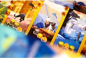 Επιτραπέζιο Παιχνίδι Asmodee 22 x 7 x 22 cm