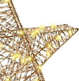 vidaXL 3D Αστέρι με 50 LED Θερμό λευκό 55 x 52.5 x 9 εκ PET