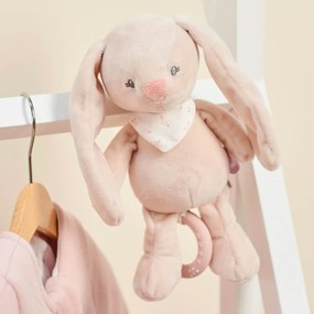 Μαλακό Παιχνίδι Με Ήχο Nattou Alice &amp; Pomme Λαγουδάκι N485050