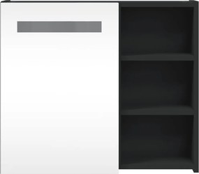 vidaXL Καθρέφτης Μπάνιου με Ντουλάπι &amp; LED Μαύρο 60 x 13 x 52 εκ.