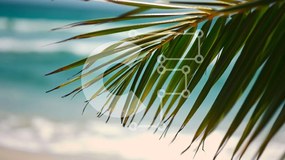 Intra Συλλεκτικό Ξύλινο Παζλ Plywood  4mm - Φύλλο φοίνικα στην παραλία με φόντο του ωκεανού Σε Ξύλινο Κουτί - Διαστάσεις: 10x10 cm – 25 κομμάτια