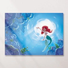 Παιδικός πίνακας σε καμβά Ariel KNV0574 80cm x 120cm