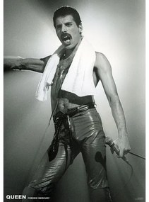 Αφίσα Queen (Freddie Mercury) - Live On Stage, (59.4 x 84 cm)
