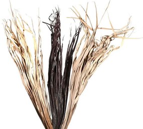 Λουλούδι Ξερά Φύλλα Νο5 1-373-91-012 86cm Beige-Brown Etiquette Σετ 2τμχ Wood