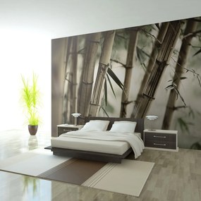 Φωτοταπετσαρία - Fog and bamboo forest 450x270