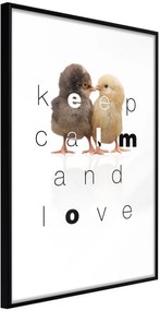 Αφίσα - Cute Chicks - 20x30 - Μαύρο - Χωρίς πασπαρτού