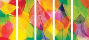 Λίστες εικόνων 5 μερών σε φθινοπωρινά χρώματα