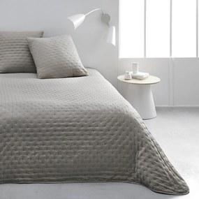 Ριχτάρια	 Today  HC4 Boutis Polyester TODAY Essential Dune