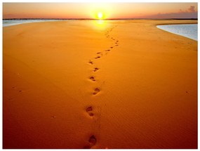 Φωτοταπετσαρία - Footprints in the sand 250x193