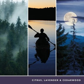 Αρωματικό Κερί Yankee Candle 1629968E