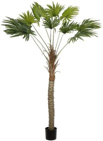 Τεχνητό Δέντρο Washingtonia Filifera 21107 200cm Brown-Green GloboStar Πολυαιθυλένιο