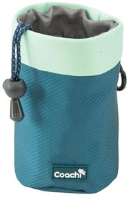 Λουρί Σκύλου Coachi