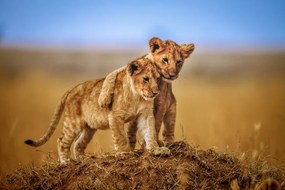 Φωτογραφία Brothers for Life, Jeffrey C. Sink