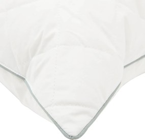 vidaXL Σετ πάπλωμα 90% χήνας FULDA 2 τμχ. 137 x 200 cm Χειμώνας Λευκό