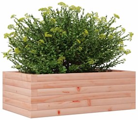 Ζαρντινιέρα Κήπου 70x40x23 εκ. από Μασίφ Ξύλο Ψευδοτσούγκας - Καφέ