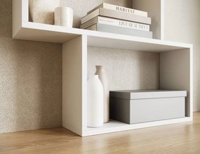 Βιβλιοθήκη Idaho-Leuko