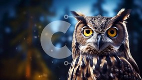 Intra Συλλεκτικό Ξύλινο Παζλ Plywood 4mm - Μεγαλοπρεπής κουκουβάγια στο δάσος Σε Ξύλινο Κουτί - Διαστάσεις: 10x10 cm – 25 κομμάτια