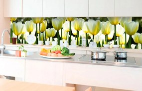 Αυτοκόλλητη φωτοταπετσαρία για λευκές τουλίπες κουζίνας - 180x60