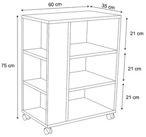 ΡΑΦΙΕΡΑ ΜΕΛΑΜΙΝΗΣ ΜΕ ΡΟΔΑΚΙΑ ΛΕΥΚΗ  60x35x75Υεκ.