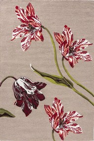 Χαλί Botanical Tulip 455610 Burgundy Ted Baker 200X280cm