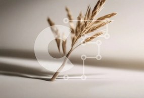 Intra Συλλεκτικό Ξύλινο Παζλ Plywood  4mm - Κλαδί αποξηραμένου χόρτου σε απαλό φως Σε Ξύλινο Κουτί - Διαστάσεις: 10x10 cm – 25 κομμάτια