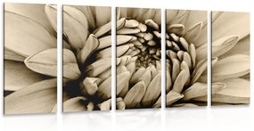 Εικόνα 5 μερών ντάλια με λεπτομέρεια σε σέπια - 100x50