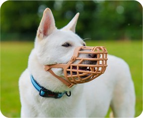 Ρύγχος Company of Animals Καφέ 6