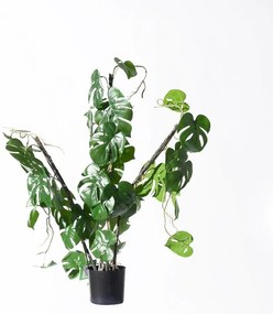 Supergreens Τεχνητό Φυτό Μονστέρα "Minima" Vining Πράσινο 75 εκ