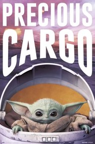 Αφίσα Star Wars: The Mandalorian - Precious Cargo