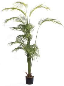 Τεχνητό Δέντρο Αρέκα Coral 4111-6 80x80x190cm Green Supergreens Πολυαιθυλένιο