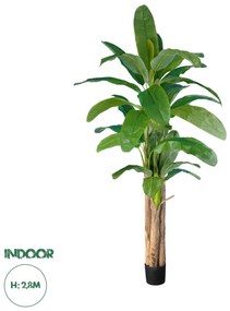 20019 GloboStar® Artificial Garden BANANA TREE 20019 - Τεχνητό Διακοσμητικό Φυτό Μπανανιά - Μπανανόδεντρο Υ280cm